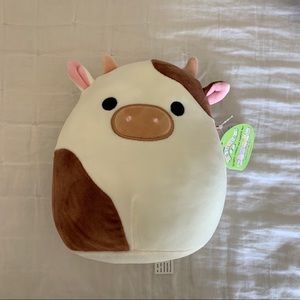 NWT | 8 in Ronnie Squishmallow